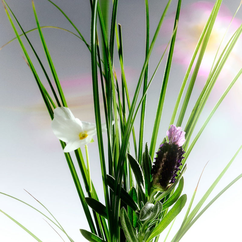 Why a Non-Nano Mineral Facial Sunscreen Is the Best Choice for Your Skin