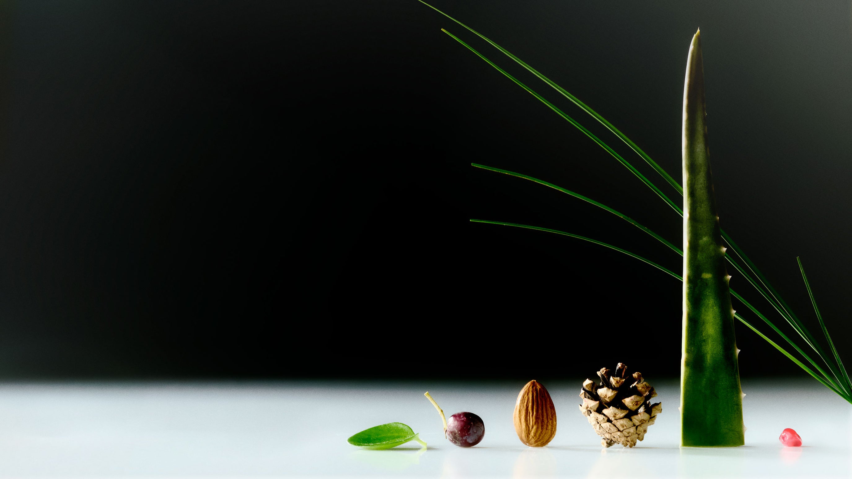 Where nature meets science