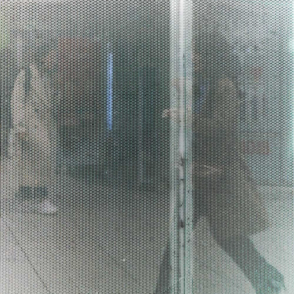 The Skin: Nature’s Intelligent Shield