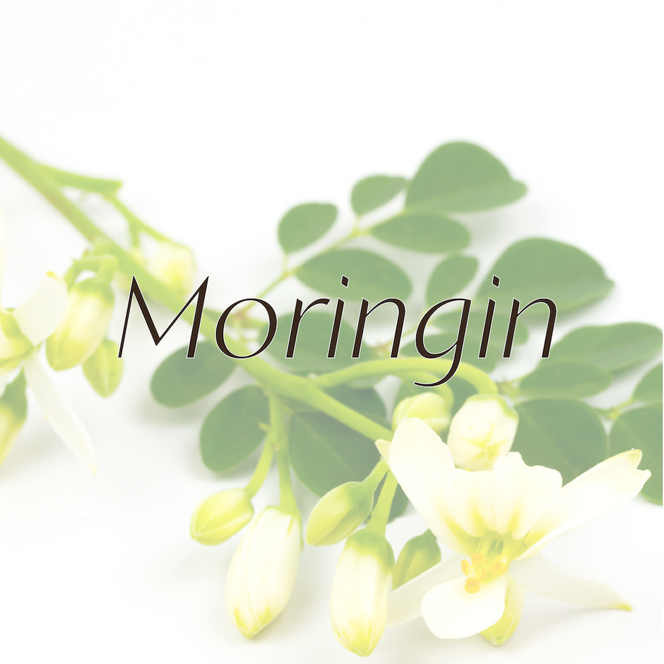 Meet Moringin: Nature’s Shield for Modern Skin