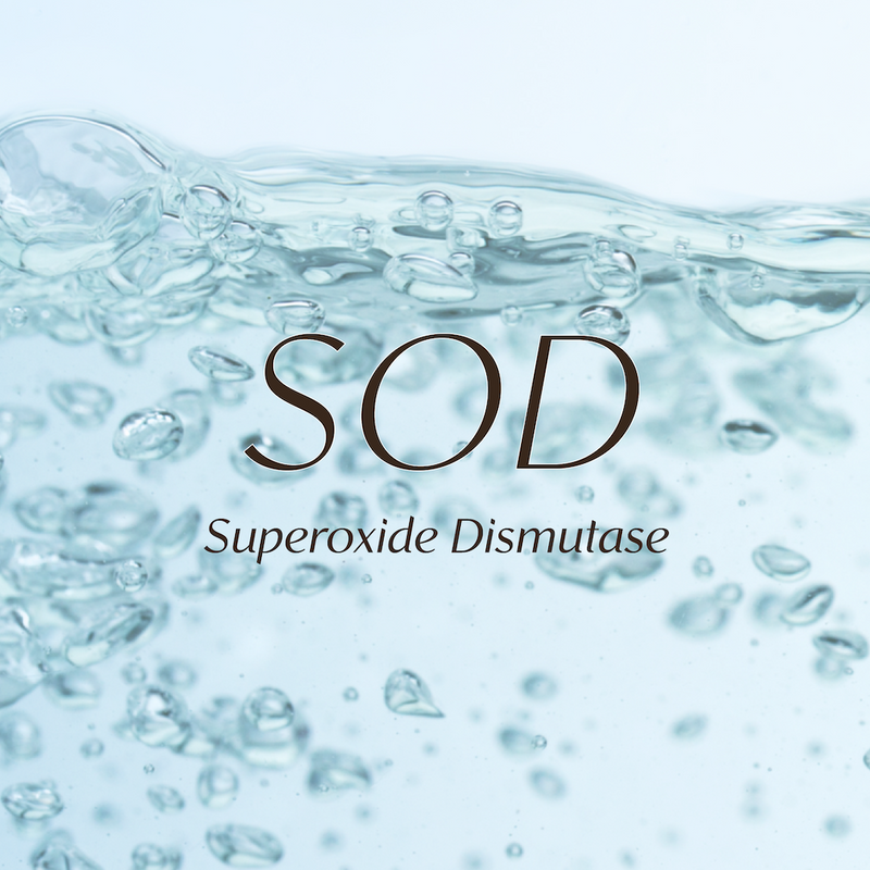 Skin’s Natural Antioxidant Shield