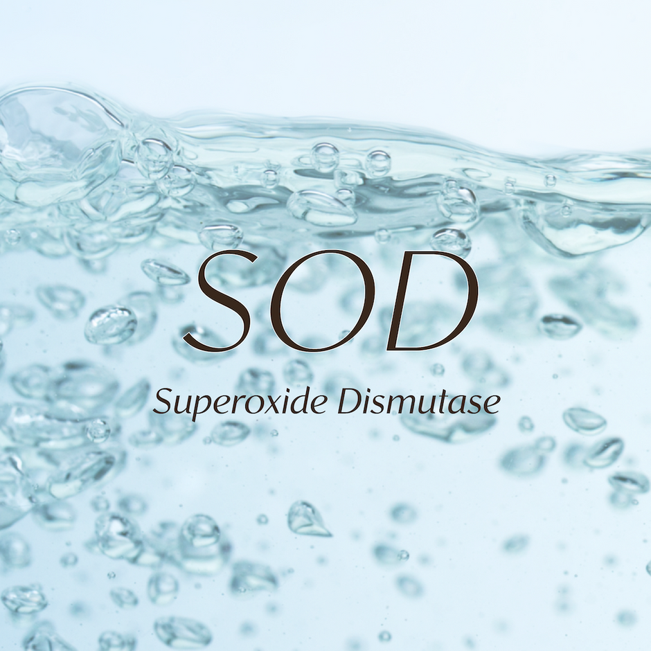 Skin’s Natural Antioxidant Shield