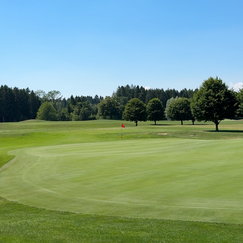 Botanical Active Ingredients Used in Advanced Golf Sun Care